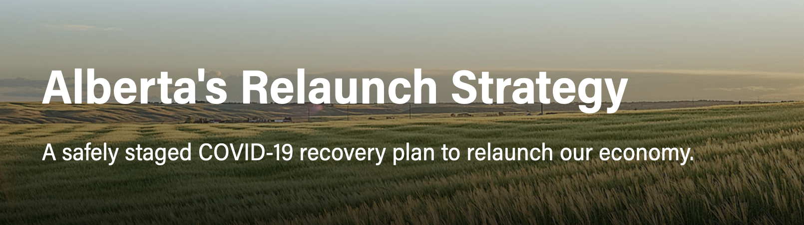 Alberta Relaunch Strategy